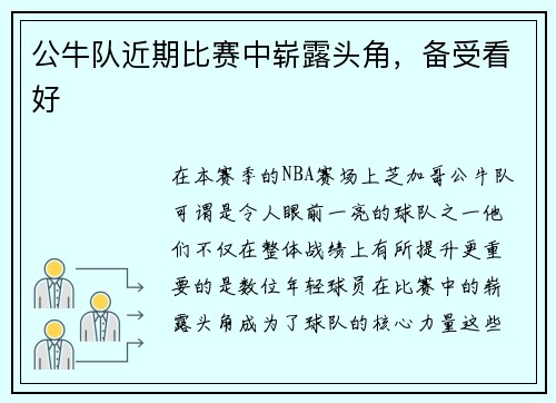公牛队近期比赛中崭露头角，备受看好
